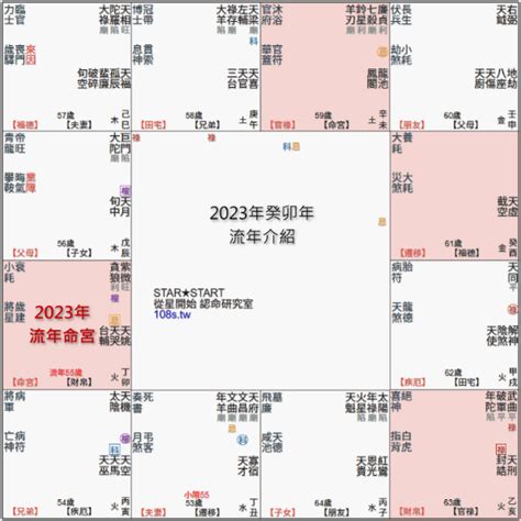 2023紫微流年命盤